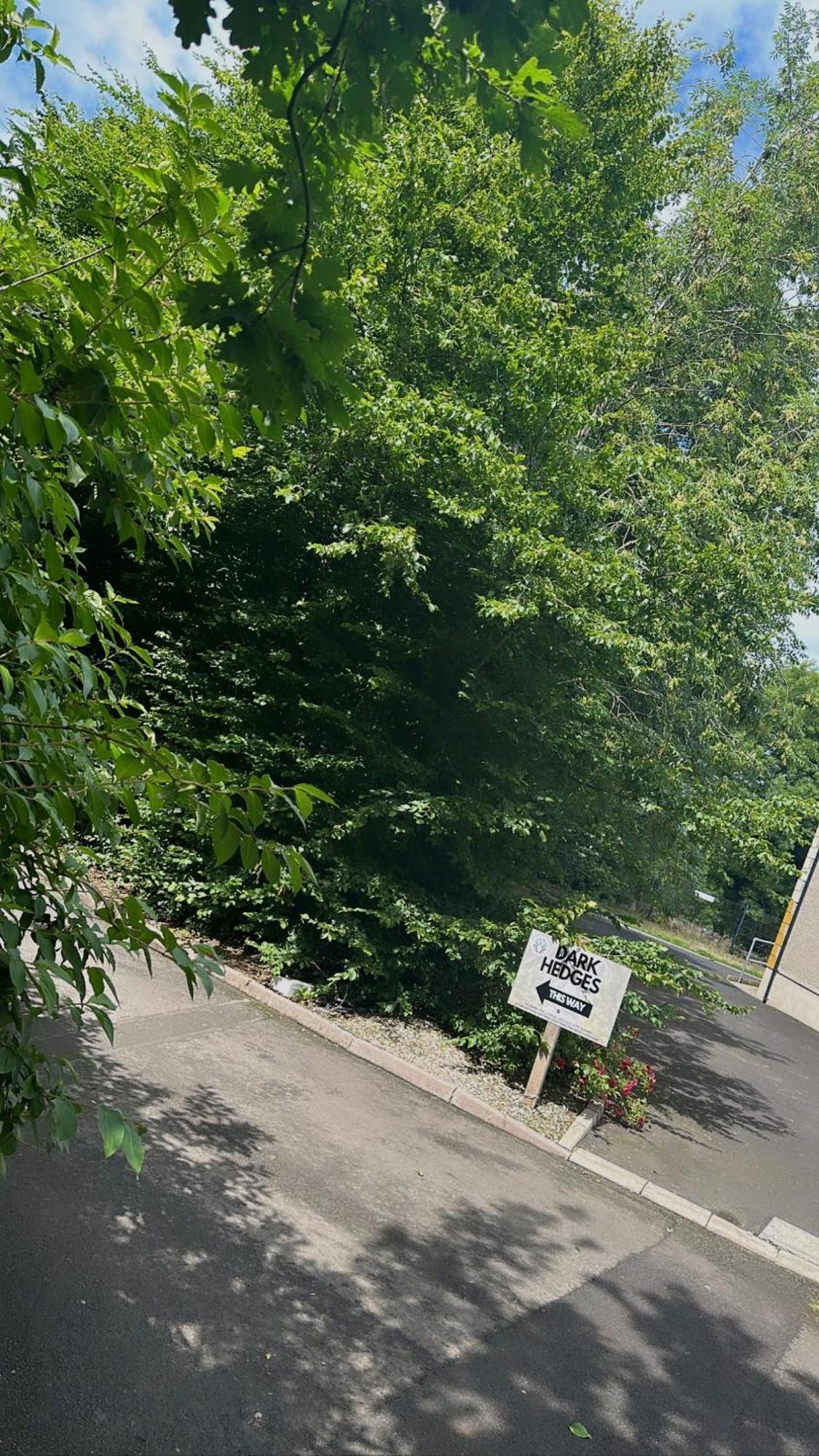 The Hedges Hotel Stranocum エクステリア 写真